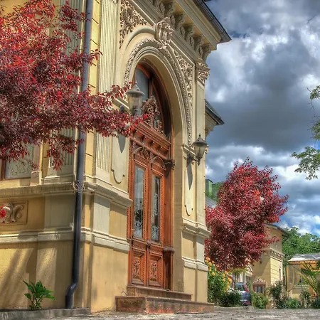 Restaurant Casa Cu Tei 4*